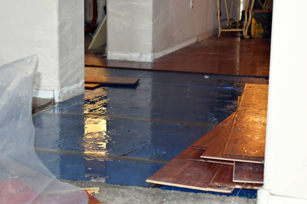 Professional Emergency Water Damage Restoration technician working in Leonia, NJ